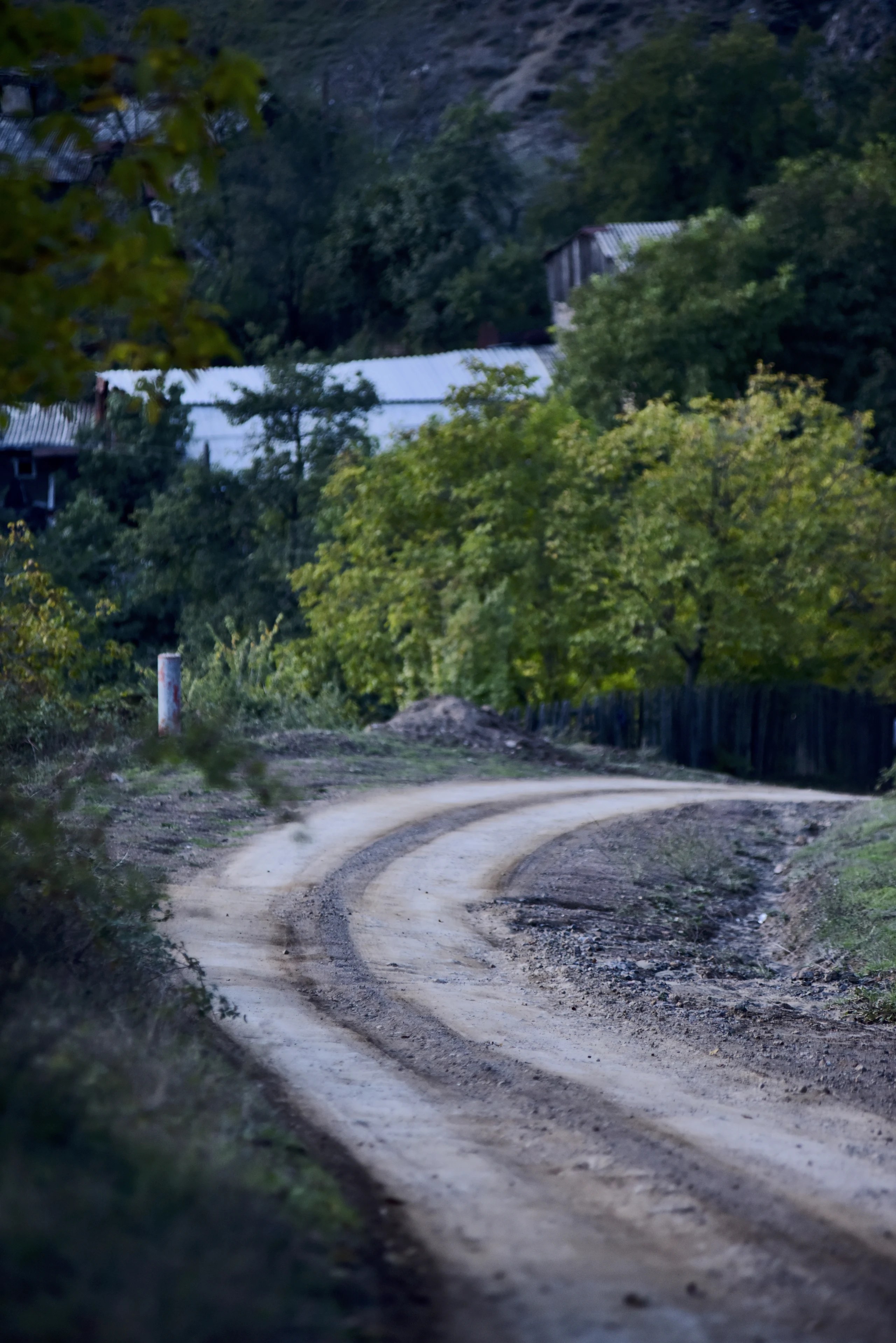 A curving dirt road between green gardens and village houses near Kapan.