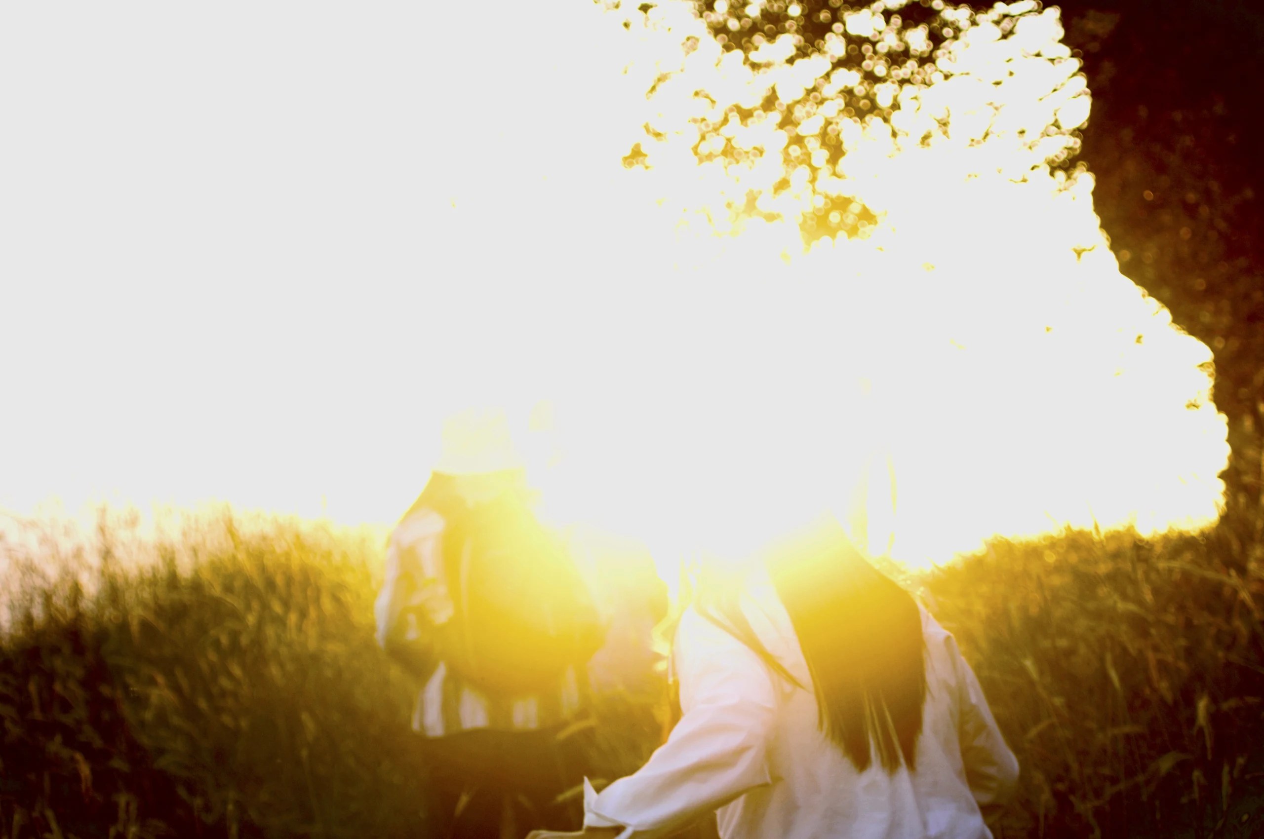 Two figures in tall grass beneath bright golden backlight.